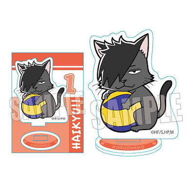 排球少年!! 「黑尾鐵朗」抱著排球吉祥物 小企牌 Gyugyutto Mini Stand Kuroo Cat【Haikyu!!】