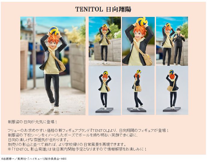 排球少年!! : 日版 TENITOL「日向翔陽」