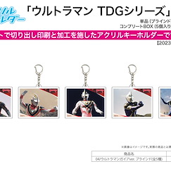超人系列 「超人佳亞」超人 TDG 系列 亞克力匙扣 (5 個入) Acrylic Key Chain TDG Series 04 Ultraman Gaia Ver. (5 Pieces)【Ultraman Series】