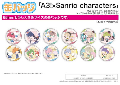 A3! 收藏徽章 Sanrio 系列 01 S&S (12 個入) Can Badge x Sanrio Characters 01 S&S (12 Pieces)【A3!】