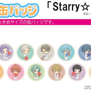 Starry☆Sky 收藏徽章 02 White Day (13 個入) Can Badge 02 White Day (13 Pieces)【Starry☆Sky】