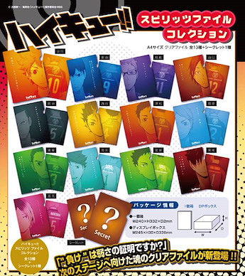 排球少年!! Spirits A4 文件套 (1 套 14 款) Spirits File Collection【Haikyu!!】(14 Pieces)
