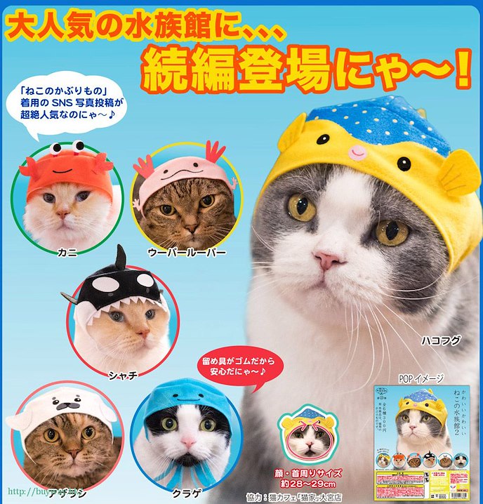 周邊配件 : 日版 貓咪頭套 Sanrio 水族館篇 (50 個入)