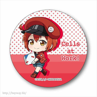 工作細胞 「紅血球」工作中 收藏徽章 TEKUTOKO Can Badge Red Blood Cell【Cells at Work!】