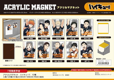 排球少年!! 亞克力磁貼 (10 個入) Acrylic Magnet (10 Pieces)【Haikyu!!】