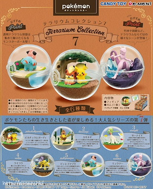 寵物小精靈系列 水晶球 盒玩 7 (6 個入) Terrarium Collection 7 (6 Pieces)【Pokémon Series】