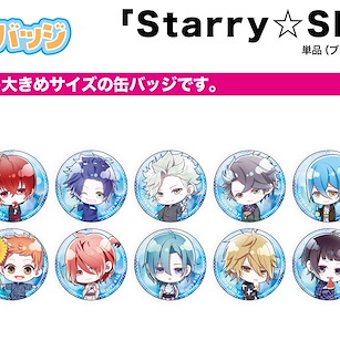 Starry☆Sky 收藏徽章 浴衣 Ver. (14 個入) Can Badge 05 Yukata Ver. (Mini Character) (14 Pieces)【Starry☆Sky】