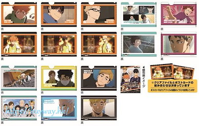 排球少年!! 迷你文件套附明信片 Vol.1 (8 個入) Mini Clear File with Postcard Vol. 1 (8 Pieces)【Haikyu!!】