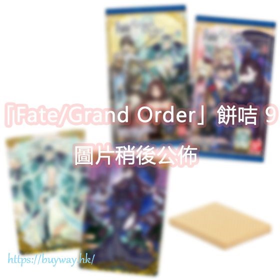 Fate系列 : 日版 「Fate/Grand Order」餅咭 9 珍藏卡 (20 個入)