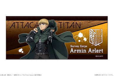 進擊的巨人 「阿爾敏」毛巾 Vol.2 Face Towel Vol. 2 02 Armin【Attack on Titan】