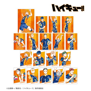 排球少年!! Ani-Art 珍藏相片 Vol.2 (18 個入) Ani-Art Vol. 2 Bromide (18 Pieces)【Haikyu!!】