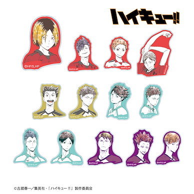 排球少年!! Ani-Art Vol.1 亞克力貼紙 Ver. B (13 個入) Ani-Art Vol. 1 Acrylic Sticker Ver. B (13 Pieces)【Haikyu!!】