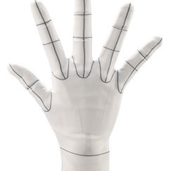 未分類 ARTIST SUPPORT ITEM 手掌模型 專用手套 線框稿 R -Wireframe- Artist Support Item Hand Model Glove/R -Wireframe-