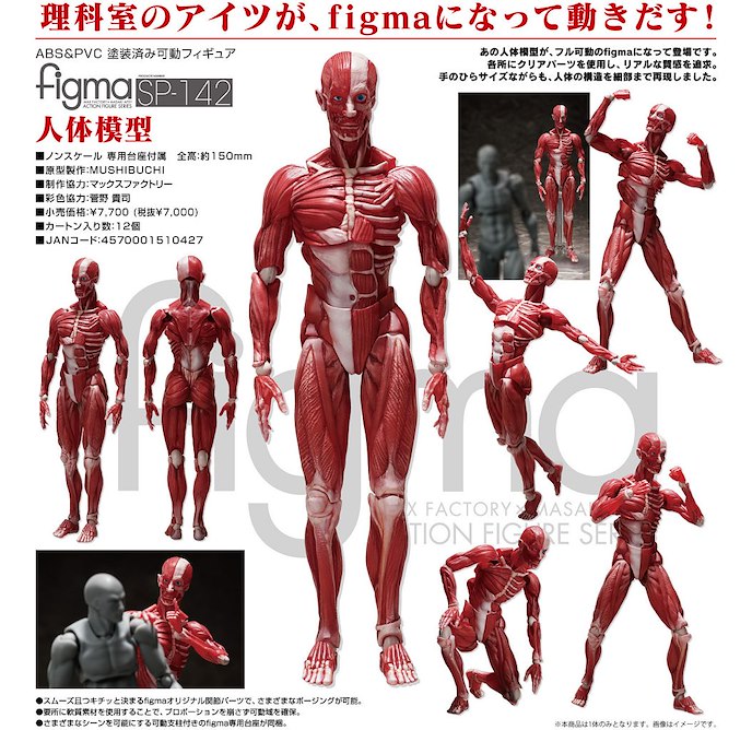 日版 figma 人體模型