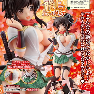 閃亂神樂 飛鳥 1/8 Figure (乳房採用新素材製造) Asuka New Material for Breast Used 1/8 Scale Figure【Senran Kagura】