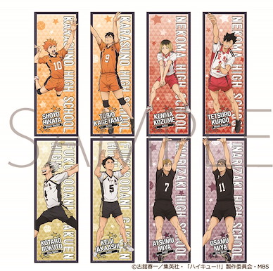 排球少年!! 長形海報 (8 個 16 枚入) Slim Poster Collection (8 Pieces)【Haikyu!!】