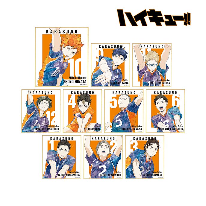 排球少年!! : 日版 Ani-Art 色紙 Vol.3 (10 個入)
