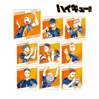 排球少年!! Ani-Art 色紙 Vol.2 (9 個入) Ani-Art Vol. 2 Mini Shikishi (9 Pieces)【Haikyu!!】