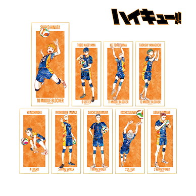 排球少年!! Ani-Art 可企色紙 Vol.2 (9 個入) Ani-Art Vol. 2 Shikishi with Stand (9 Pieces)【Haikyu!!】