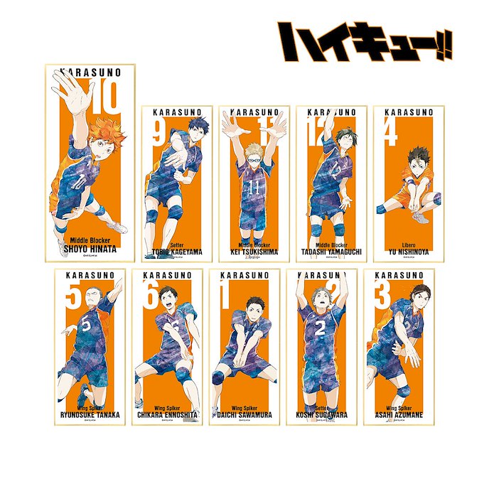 排球少年!! : 日版 Ani-Art 可企色紙 Vol.3 (10 個入)