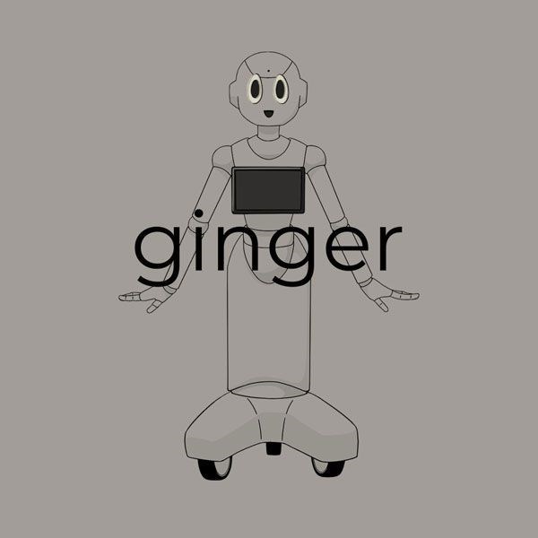 搖曳露營△ : 日版 (大碼) ginger 淺灰 T-Shirt