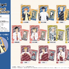 排球少年!! 閃閃咭匙扣 (10 個入) Visual Card Key Chain Collection (10 Pieces)【Haikyu!!】