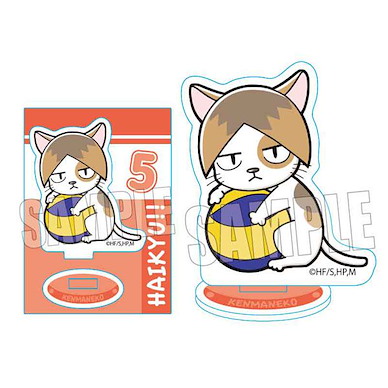 排球少年!! 「孤爪研磨」抱著排球吉祥物 小企牌 Gyugyutto Mini Stand Kenma Cat【Haikyu!!】