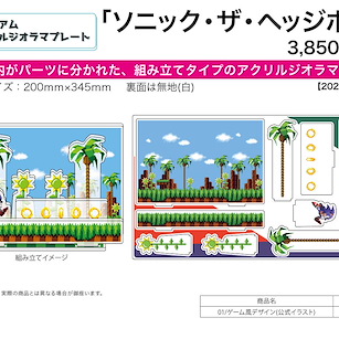 超音鼠 遊戲模式 豪華亞克力背景企牌 Premium Acrylic Diorama Plate 01 Game Style Design (Official Illustration)【Sonic the Hedgehog】