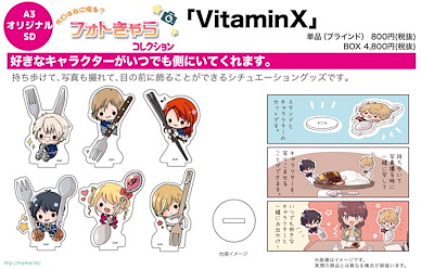 Vitamin X 陪吃小伙子 拿起餐具企牌 01 (6 個入) Photo Chara Collection 01 (6 Pieces)【VitaminX】