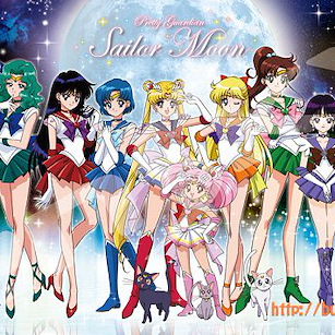美少女戰士 砌圖 1000 塊「水手服戰士」 Jigsaw Puzzle 1000 Piece Sailor Pretty Soldiers【Sailor Moon】