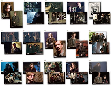哈利波特系列 「天狼星 + 雷木思」珍藏相片 (15 個入) Sirius & Lupin Bromide Collection (15 Pieces)【Harry Potter Series】