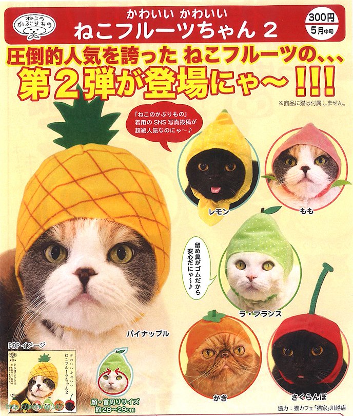 日版 貓咪頭套 熱情水果篇 2 (50 個入)
