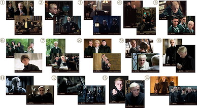 哈利波特系列 「馬份」相片 Set (14 個入) Draco Malfoy Bromide Collection (September 2023 Edition) (14 Pieces)【Harry Potter Series】