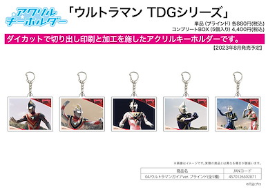 超人系列 「超人佳亞」超人 TDG 系列 亞克力匙扣 (5 個入) Acrylic Key Chain TDG Series 04 Ultraman Gaia Ver. (5 Pieces)【Ultraman Series】