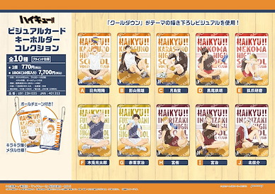 排球少年!! 咭匙扣 靜下來 (10 個入) Visual Card Key Chain Collection (10 Pieces)【Haikyu!!】
