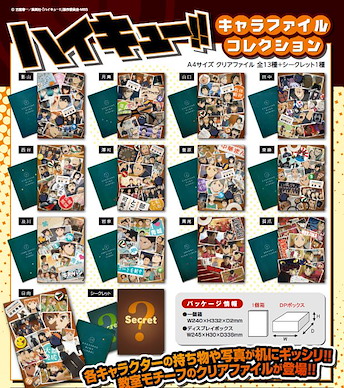 排球少年!! 文件套 (14 枚) Character File Collection (14 Pieces)【Haikyu!!】