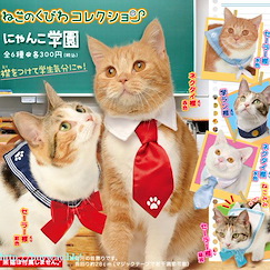 未分類 : 日版 貓咪領帶 校園師生篇 (40 個入)