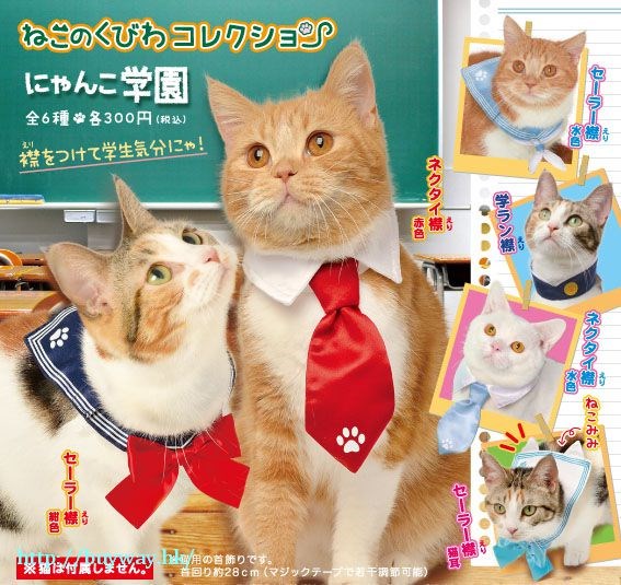 日版 貓咪領帶 校園師生篇 (40 個入)