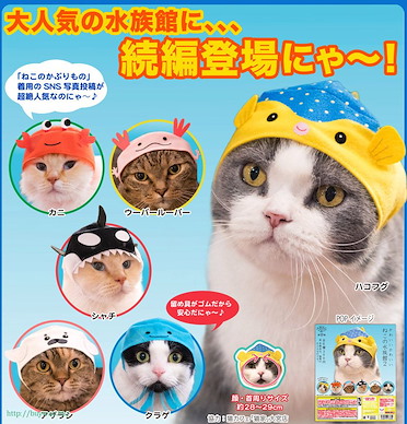周邊配件 貓咪頭套 Sanrio 水族館篇 (50 個入) Kawaii Kawaii Neko no Aquarium 2 (50 Pieces)【Boutique Accessories】