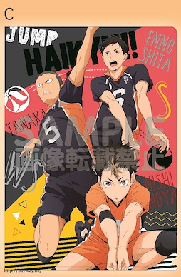 排球少年!! 「緣下力 + 田中龍之介 + 西谷夕」文件套 Clear File C Karasuno Second-year Student【Haikyu!!】