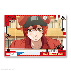 工作細胞 「紅血球」BIG 方形徽章 Big Square Can Badge Red Blood Cell【Cells at Work!】