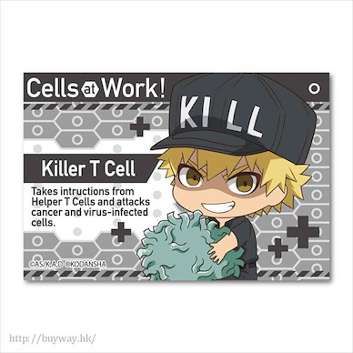 工作細胞 「殺手T細胞」抱著細胞 方形徽章 GyuGyutto Big Square Can Badge Killer T Cell【Cells at Work!】