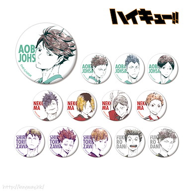 排球少年!! Ani-Art 收藏徽章 BOX B (13 個入) Ani-Art Can Badge Ver. B (13 Pieces)【Haikyu!!】