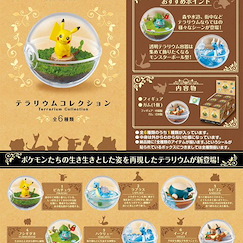 寵物小精靈系列 水晶球盒玩 (6 個入) Terrarium Collection (6 Pieces)【Pokémon Series】