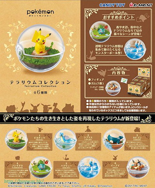 寵物小精靈系列 水晶球盒玩 (6 個入) Terrarium Collection (6 Pieces)【Pokémon Series】