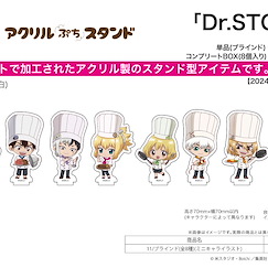 Dr.STONE 新石紀 亞克力小企牌 11 (Mini Character) (8 個入) Acrylic Petit Stand 11 Mini Character Illustration (8 Pieces)【Dr. Stone】