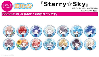 Starry☆Sky 收藏徽章 浴衣 Ver. (14 個入) Can Badge 05 Yukata Ver. (Mini Character) (14 Pieces)【Starry☆Sky】