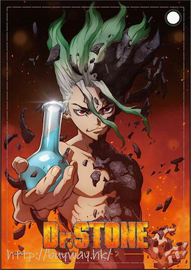 Dr.STONE 新石紀 「石神千空」皮革 證件套 Synthetic Leather Pass Case A【Dr. Stone】