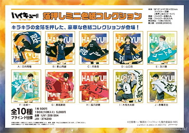 排球少年!! 色紙 TO THE TOP 動畫第 4 季 (10 個入) Gilding Mini Shikishi Collection (10 Pieces)【Haikyu!!】