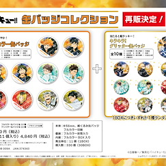 排球少年!! 收藏徽章 TO THE TOP 動畫第 4 季 (11 個入) Can Badge Collection (11 Pieces)【Haikyu!!】